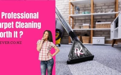 Is It Worth Getting Carpets Professionally Cleaned ? 