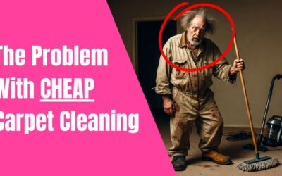 The Hidden COST of “CHEAP” Carpet Cleaning